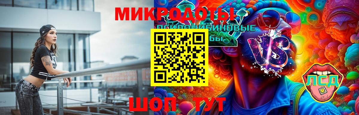 Псилоцибиновые грибы Cubensis Берёзовский